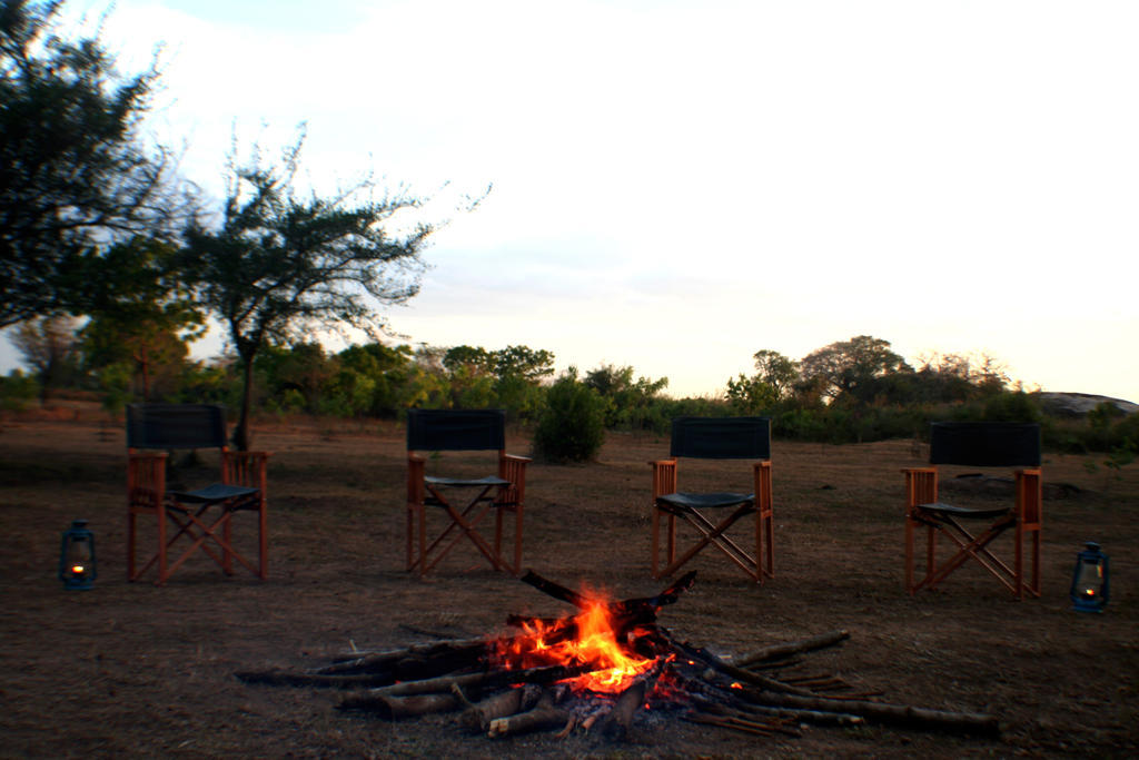 Big Game Udawalawe - By Eco Team Exterior foto