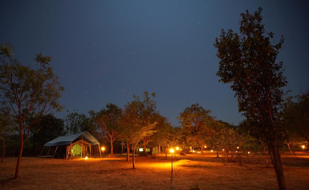 Big Game Udawalawe - By Eco Team Exterior foto