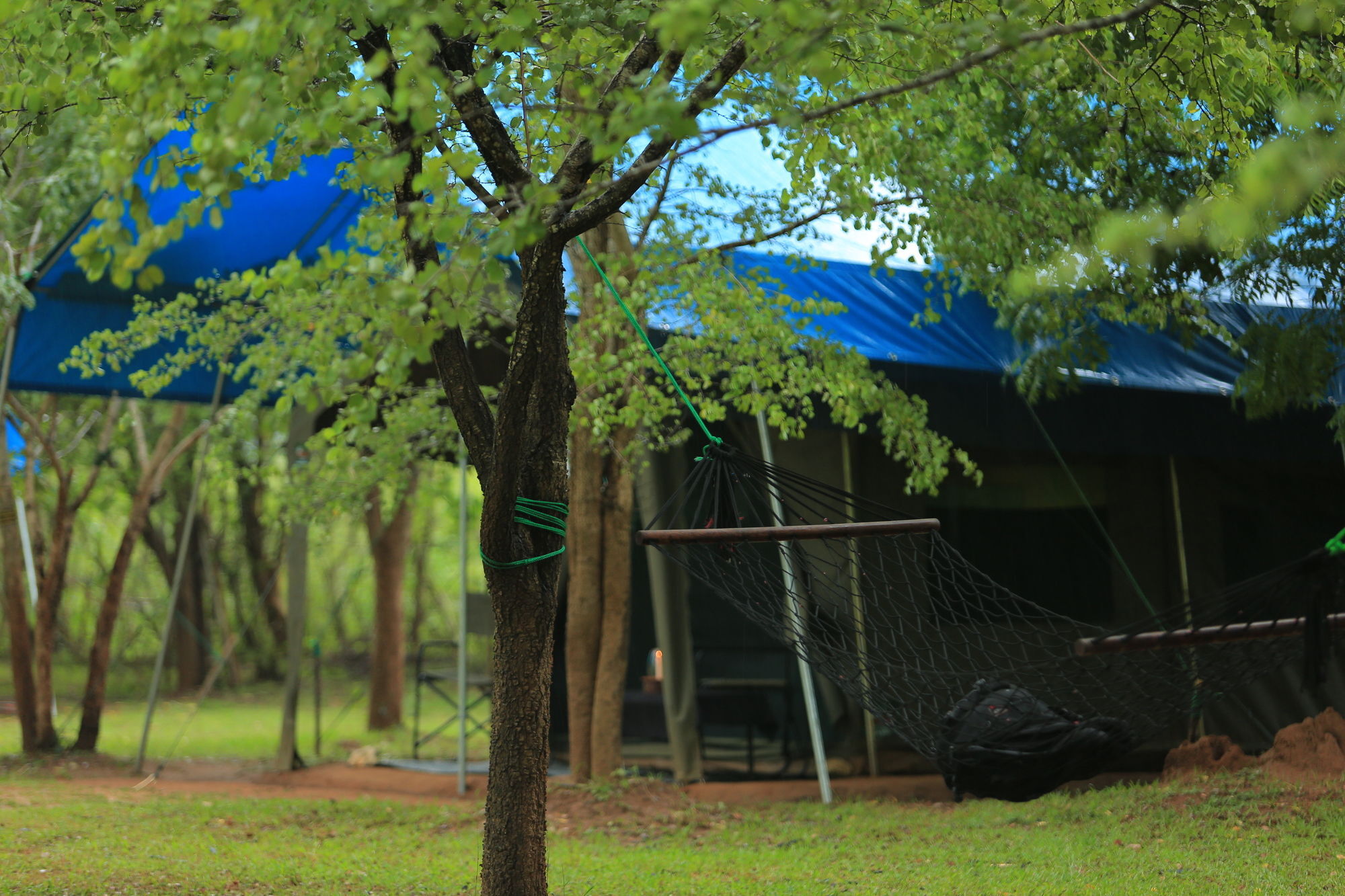Big Game Udawalawe - By Eco Team Exterior foto