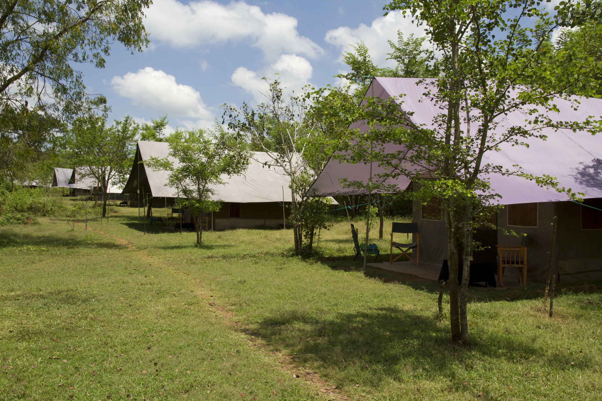 Big Game Udawalawe - By Eco Team Exterior foto